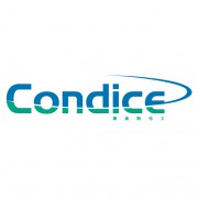 康迪斯化工(湖北)有限公司